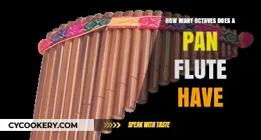 Exploring the Pan Flute's Octave Range
