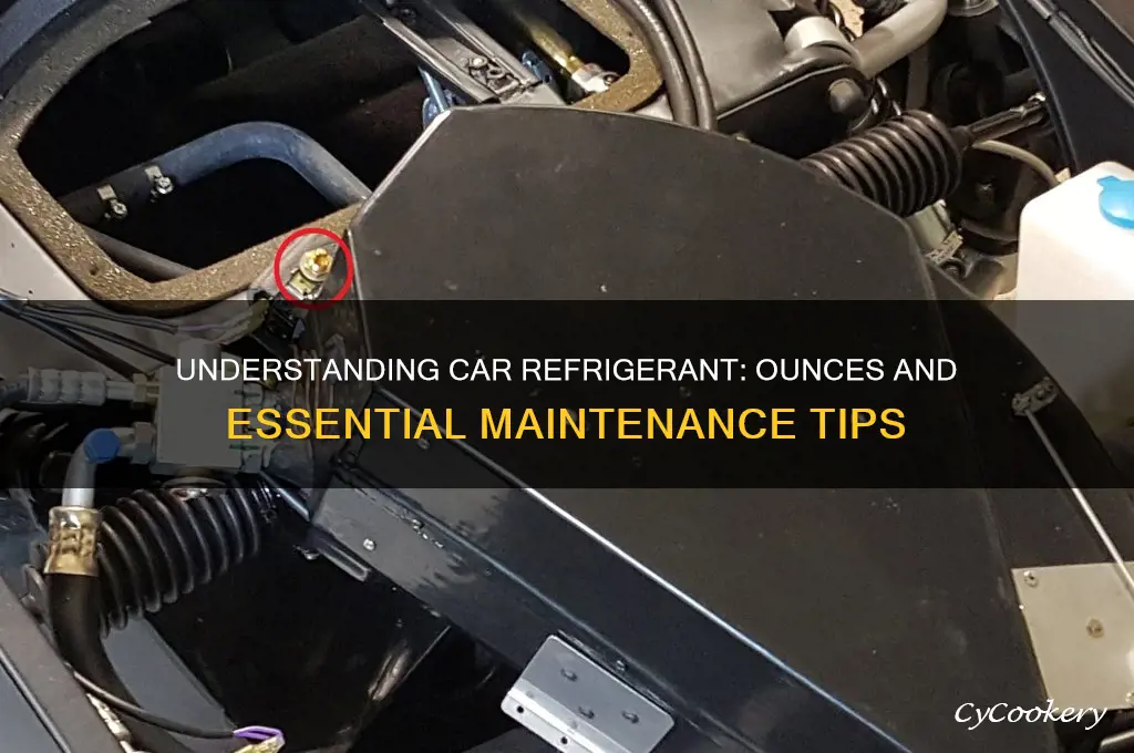 how many ounces is a car refrigerant