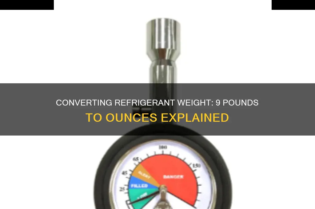 how many ounces of refrigerant is 9 pounds