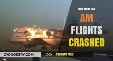 Pan Am's Dark History: Crashes and Disasters