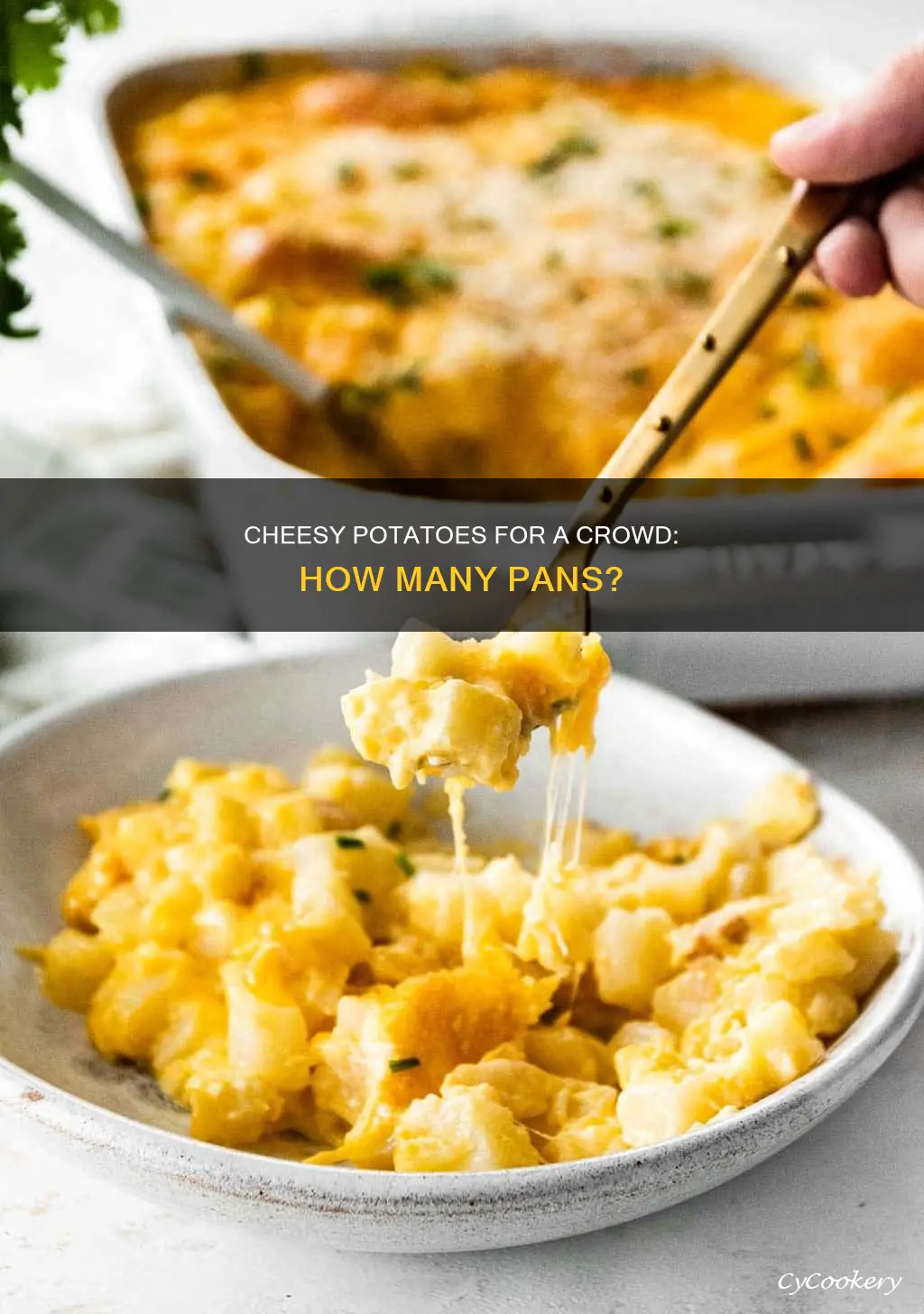 how many pans of cheesy potatoes to feed 25