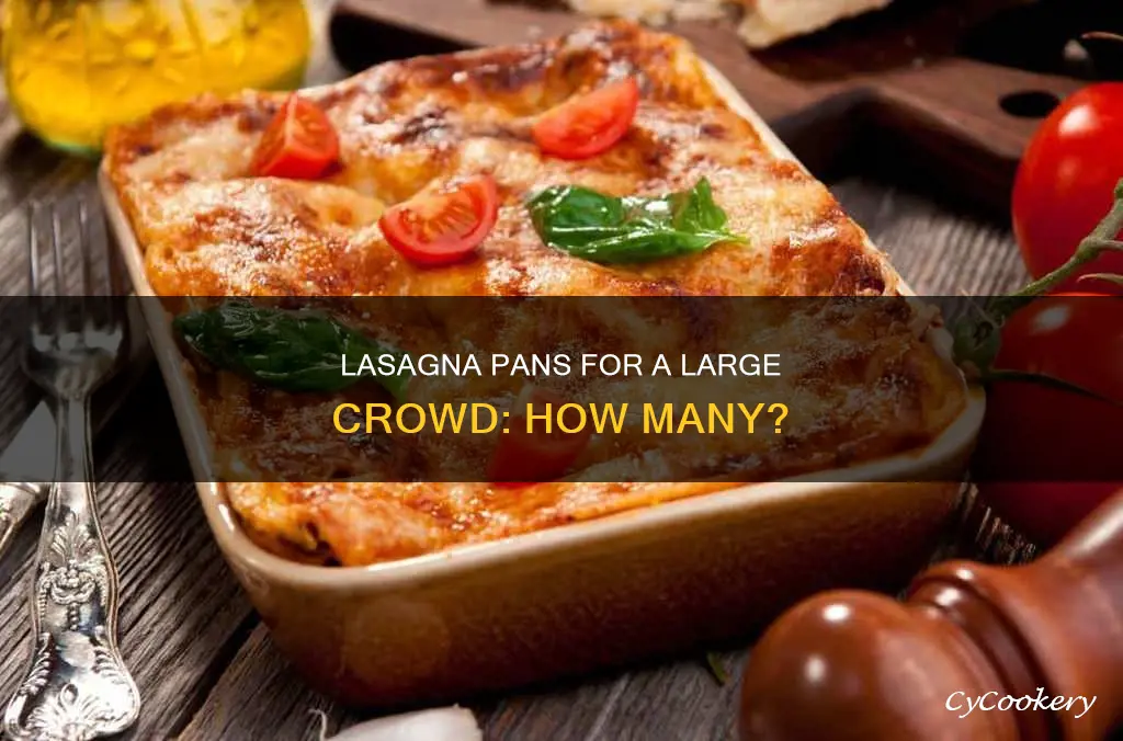 how many pans of lasagna for 50