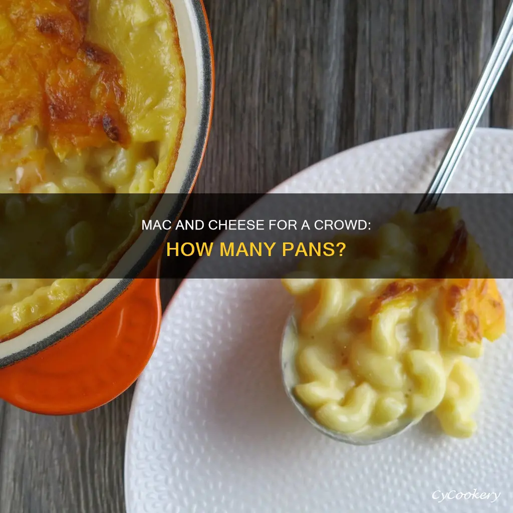 how many pans of mac and cheese for 200