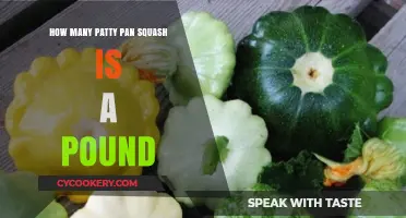 Selecting Patty Pan Squash: A Pound's Worth