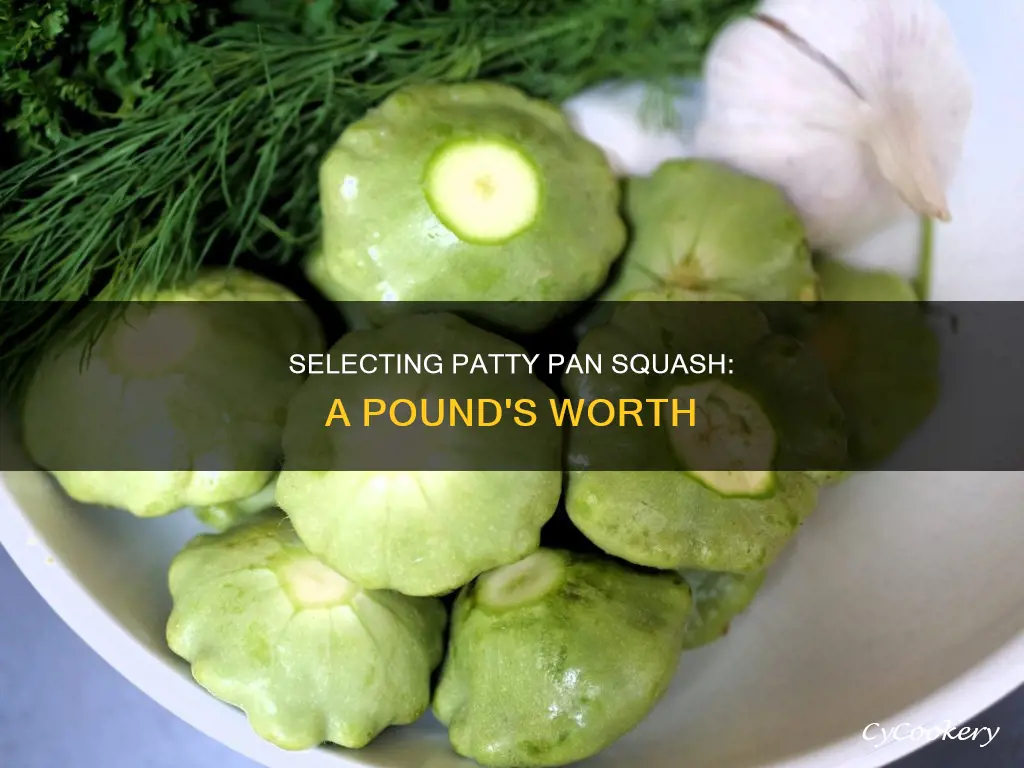 how many patty pan squash is a pound