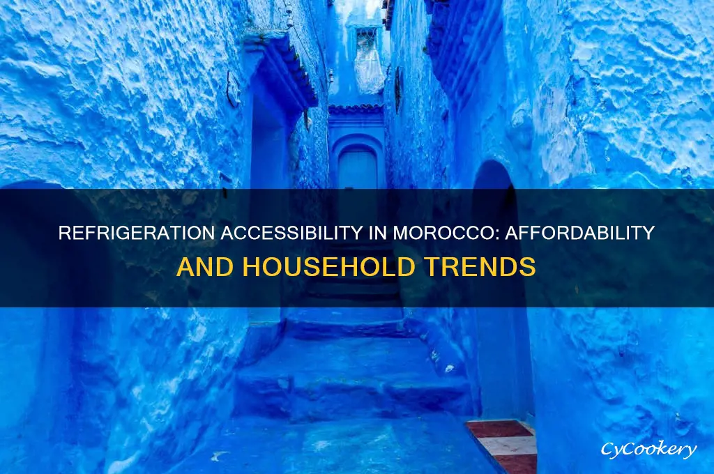 how many people afford refrigeration in morocco