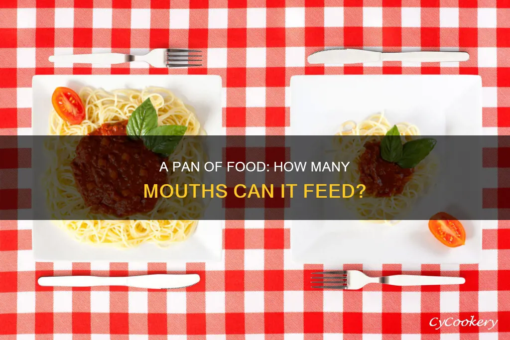 how many people does a pan of food feed