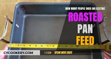 Electric Roaster Pans: Feeds a Crowd