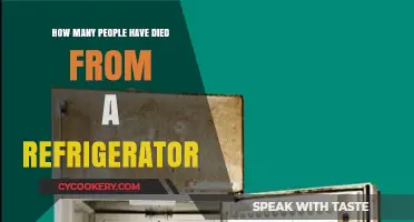 Chilling Truth: Refrigerator-Related Fatalities and Safety Concerns