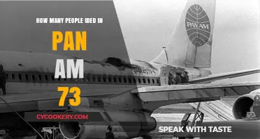 Tragic End: Pan Am 73's Death Toll