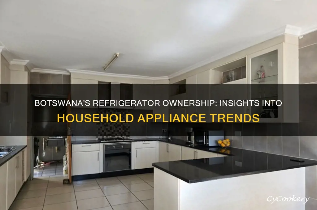 how many people in botswanna have refrigerators