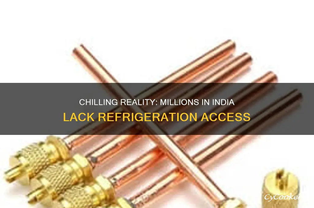 how many people in india do not have refrigerator
