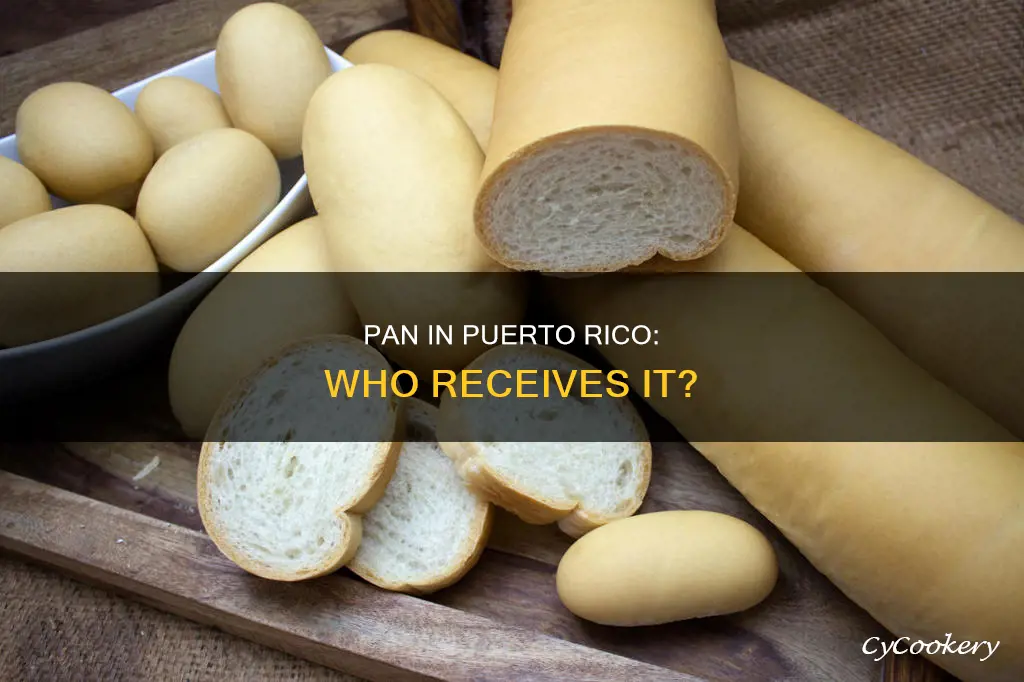 how many people receive pan in puerto rico