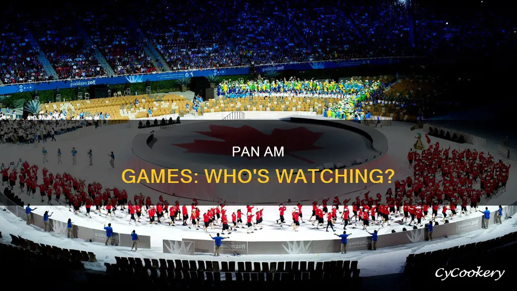 how many people watch the pan am games
