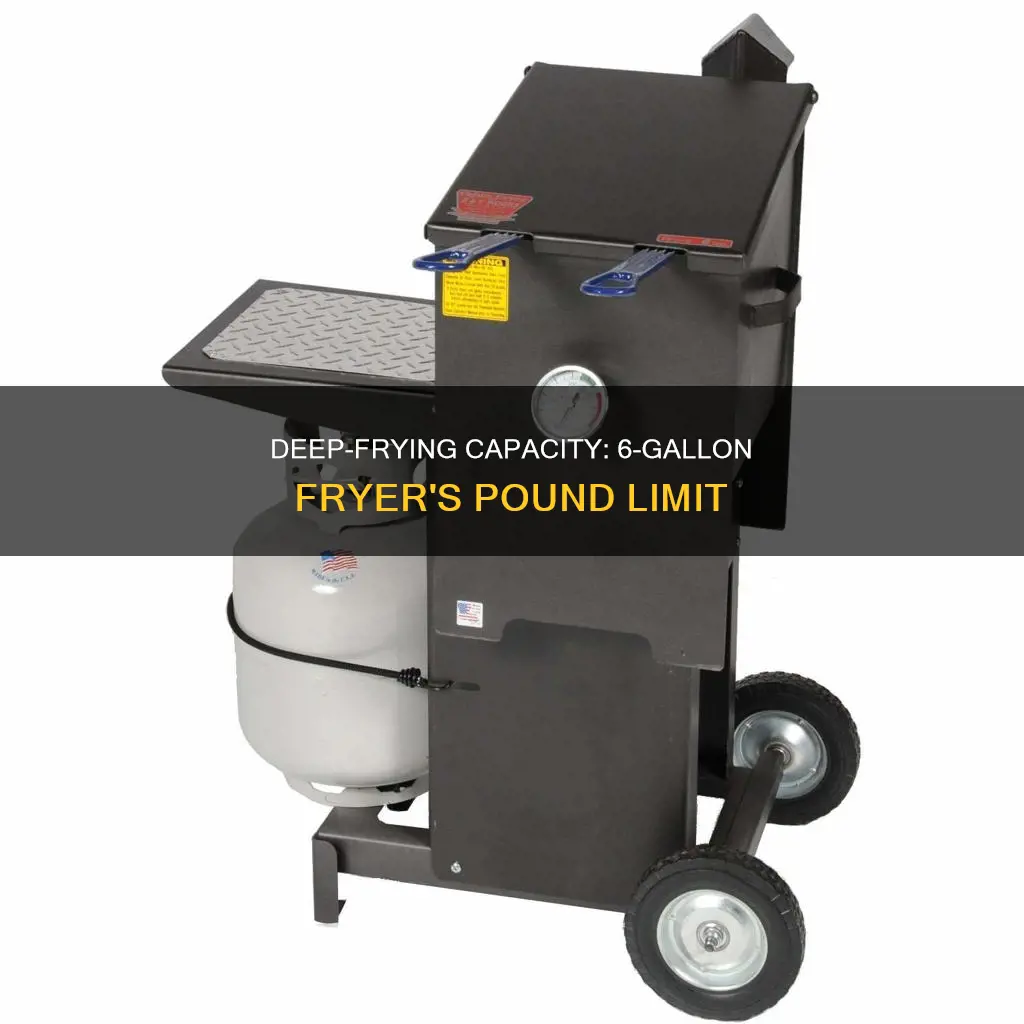 how many pounds can 6 gallon fryer hold