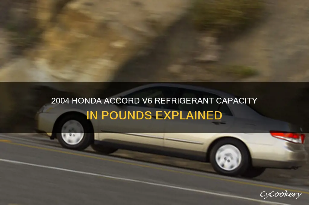 how many pounds of refrigerant 2004 honda accord v6