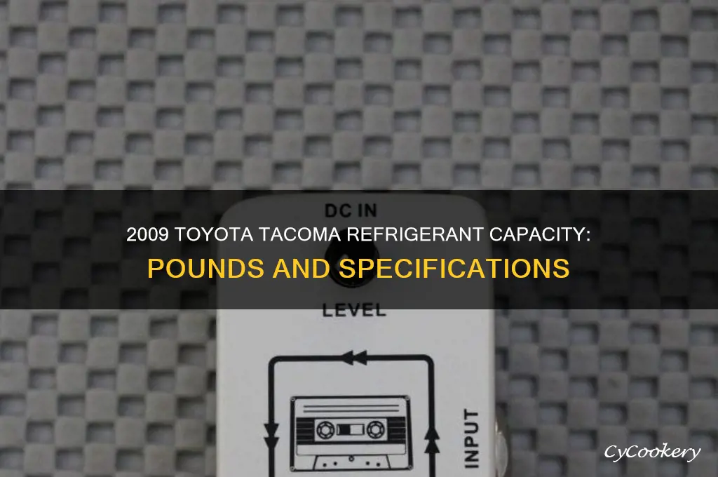 how many pounds of refrigerant 2009 tacoma