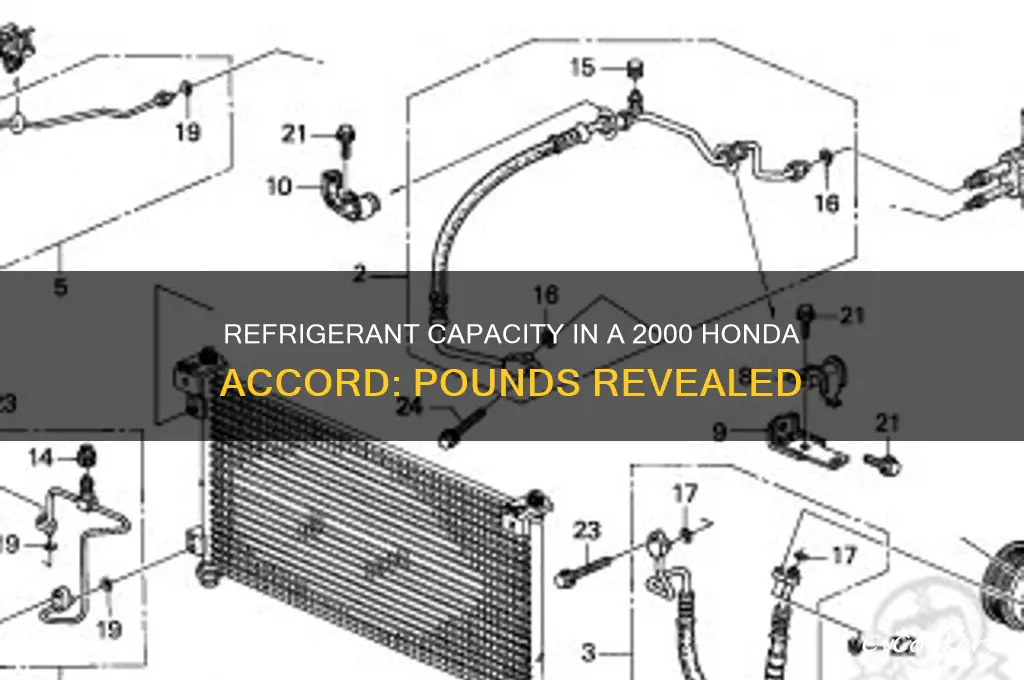 how many pounds of refrigerant in 2000 honda accord