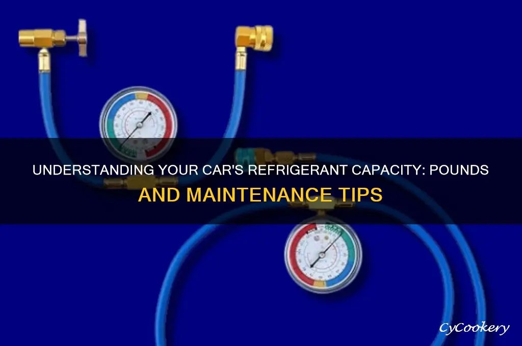 how many pounds of refrigerant in a car