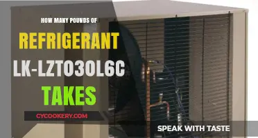 Understanding Refrigerant Capacity: LK-LZT030L6C's Poundage Explained