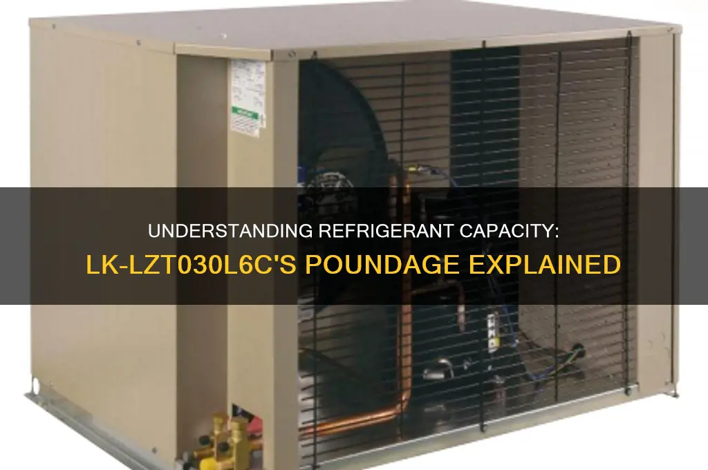 how many pounds of refrigerant lk-lzt030l6c takes