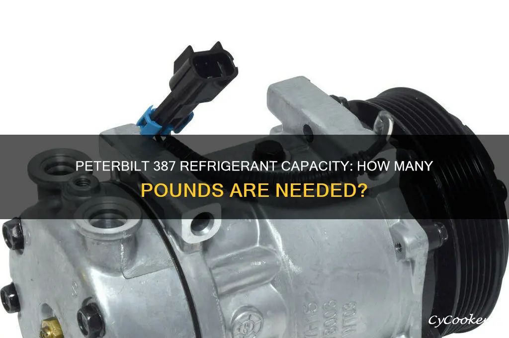 how many pounds of refrigerant peterbilt 387