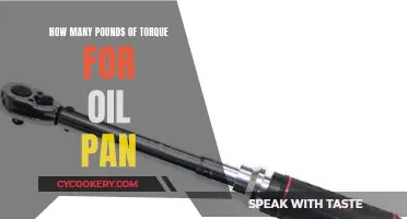 Torqueing Oil Pan: How Much Pound Force is Needed?