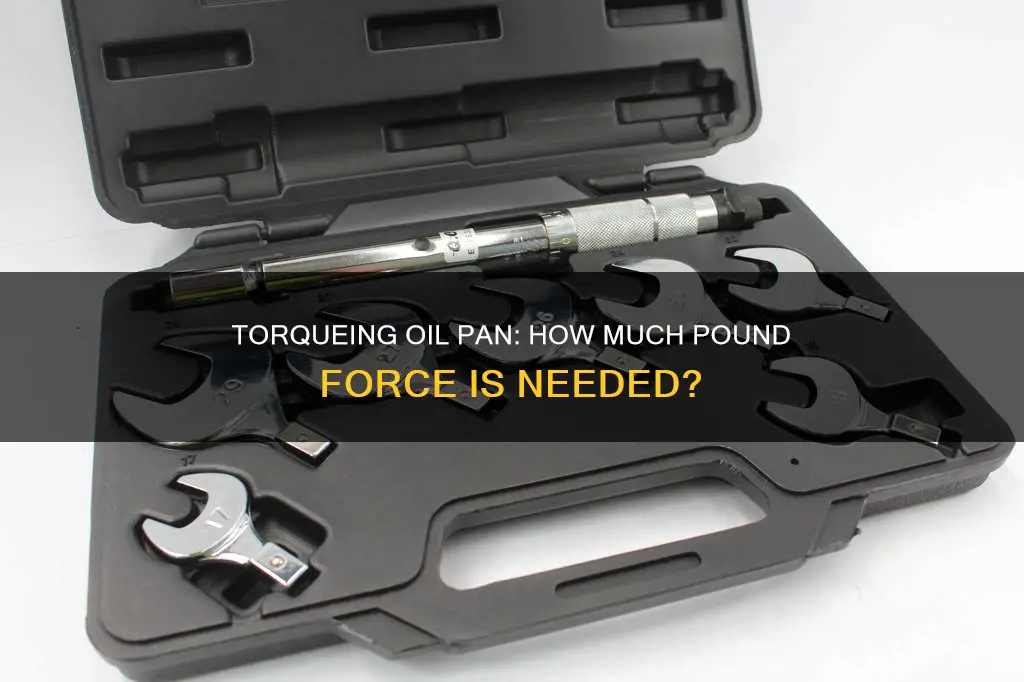 how many pounds of torque for oil pan