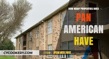 Pan American's Real Estate Empire: How Many Properties?