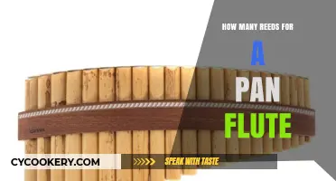 The Pan Flute: Understanding the Number of Reeds