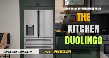 Counting Fridges: Duolingo's Kitchen Mystery Unveiled in 8 Words