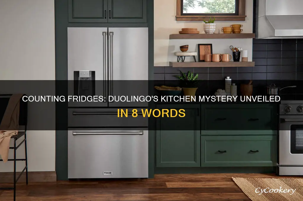 how many refrigerators are in the kitchen duolingo