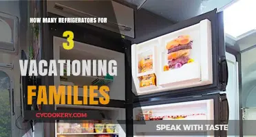 Optimal Refrigerator Count for 3 Families on Vacation: A Guide