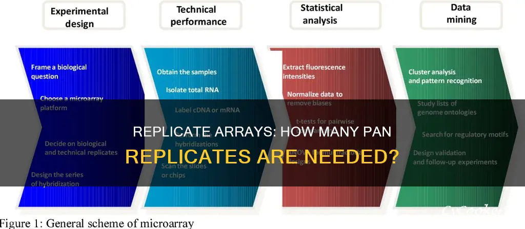 how many replicates of array pan