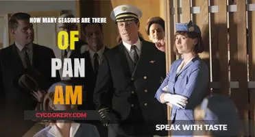Pan Am: A Short-Lived Show's Seasons