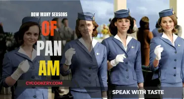 Pan Am: A Short-Lived Series with Only One Season