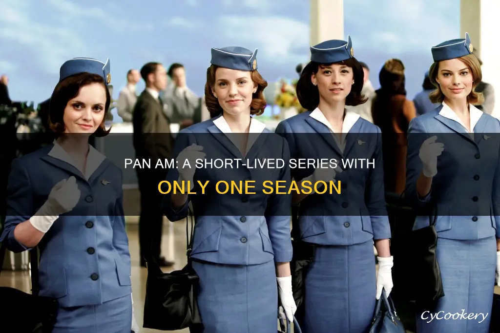 how many seasons of pan am