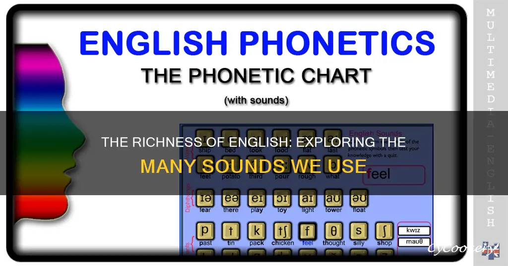 how many sounds are there in the enligsh language pan