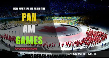 The Pan Am Games: A Showcase of Sports Excellence