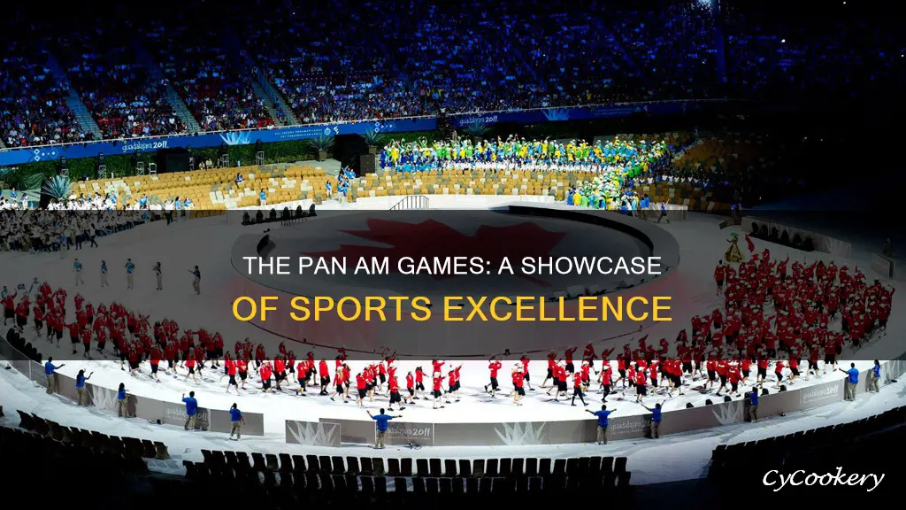 how many sports are in the pan am games