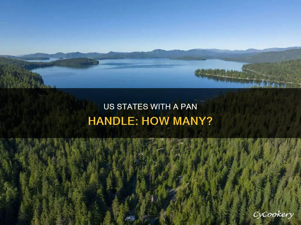 how many states have a pan handle