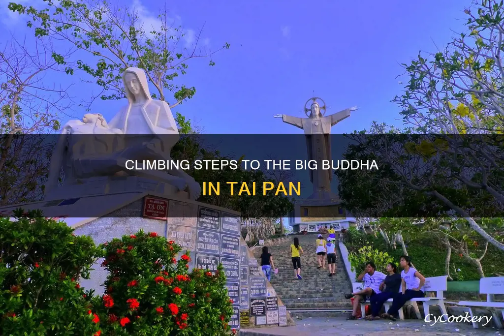 how many steps to the big buddha tai pan