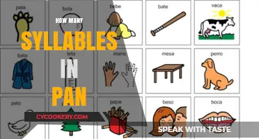 The Syllable Count of 'Pan' Explained