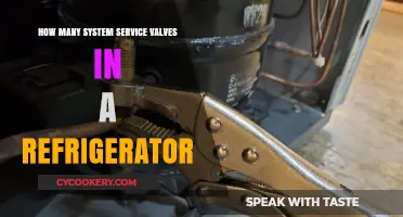 Understanding the Number of System Service Valves in Your Refrigerator