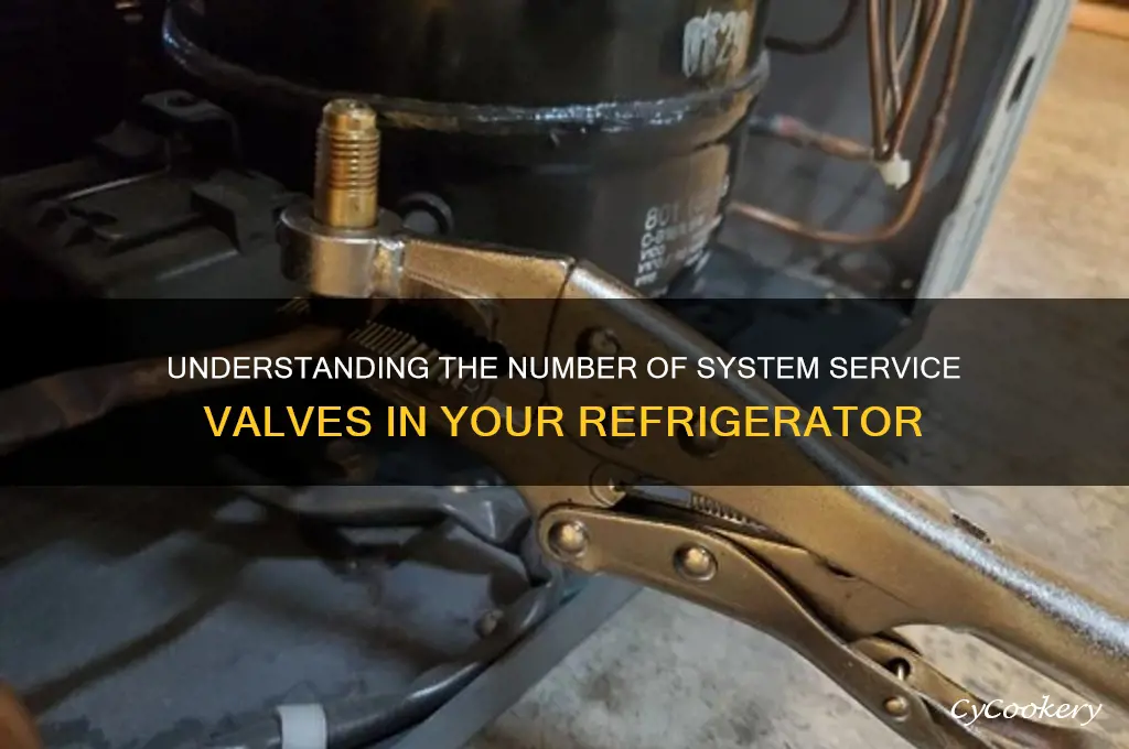 how many system service valves in a refrigerator