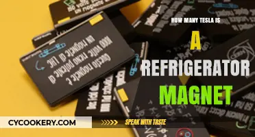 Measuring the Strength: How Many Tesla in a Fridge Magnet?