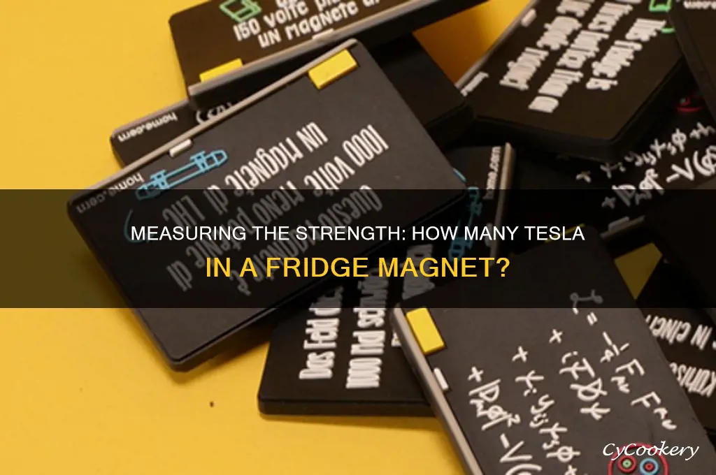 how many tesla is a refrigerator magnet