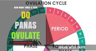 Ovulation Patterns in Women: Pana's Cycle Explained