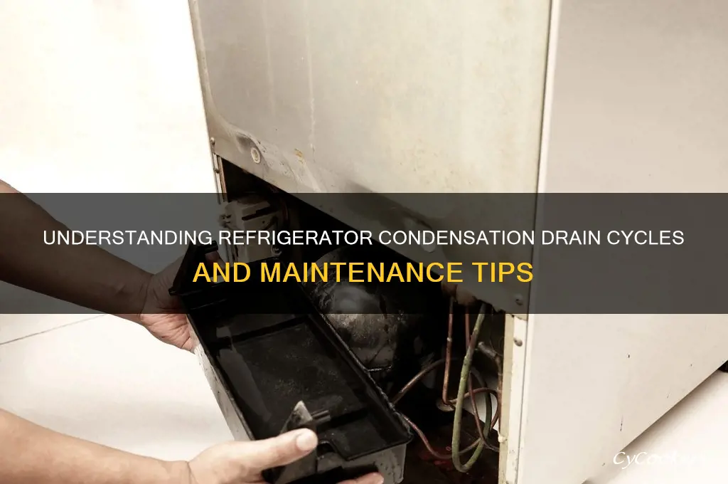 how many times condensation drains from refrigerator
