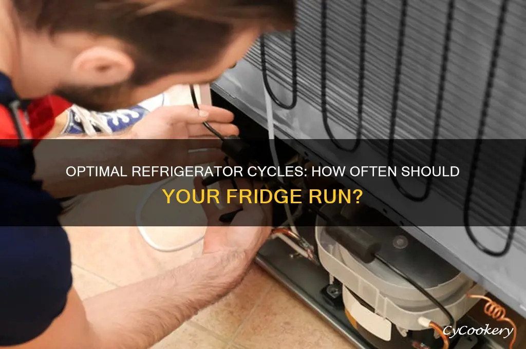 how many times should a refrigerator run